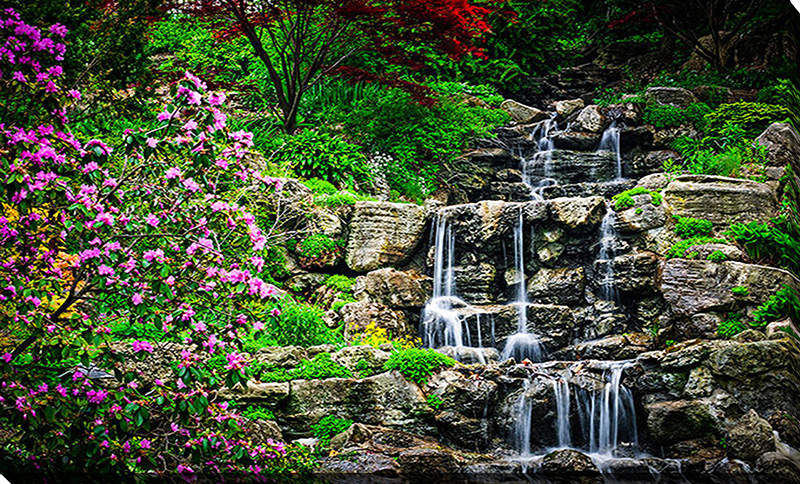 Waterfall Garden I